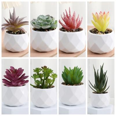 Fake Plants Artificial Succulent Cactus Small Potted Plants Mini Succulents Bonsai  Home