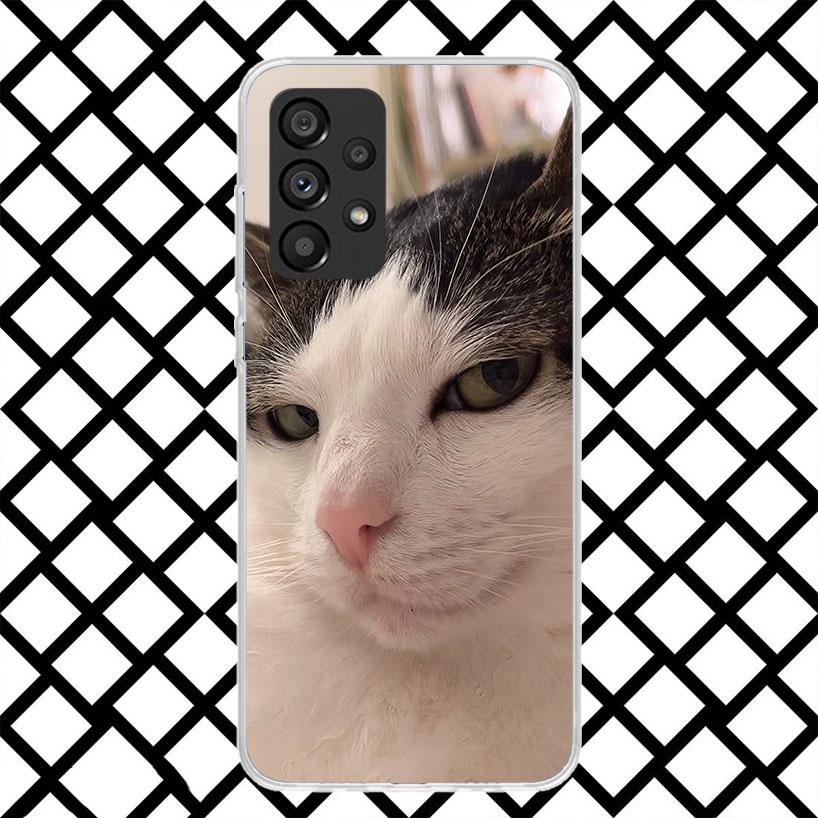 Pet Cat Funny Memes Phone Case for Samsung Galaxy A52 A42 A32 A22 A12 A02S A51 A50 A71 A70 A41 A31 A21S A40 A30S A20S A10S A11