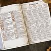 Mystical Journal For Divination Quickly Sketches Zones Light weight Spiritual Card Reading Journal