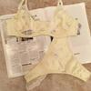 French Underwear Women's Sexy Ultra-thin Satin Lace Big Breasts Small Anti-sagging Bra Set