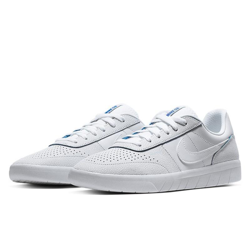 Nike Sb Team 'White' Skateboard Shoes AR0767-100
