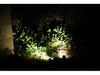 6W Aluminum Solar LED Spotlight for Garden and Outdoor Decoration
