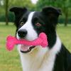 Dog Bone Toy Teething 15cm
