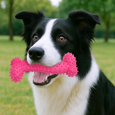 Dog Bone Toy Teething 15cm