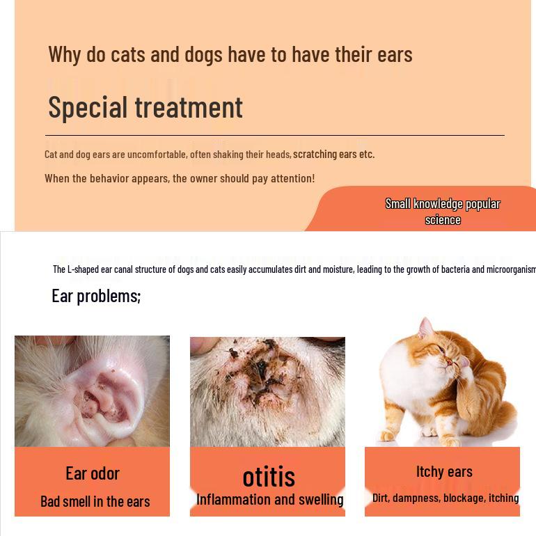 Husdjurs Öronrengörare - Kattunge & Hund Örontvätt, Kvalsterborttagare & Droppar för Katter och Hundar