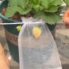 50/100Pcs Fruit Protection Netting Bags with Drawstring Reusable Grape Grow Bags Strawberry Cover Mesh Bags for Pest Control