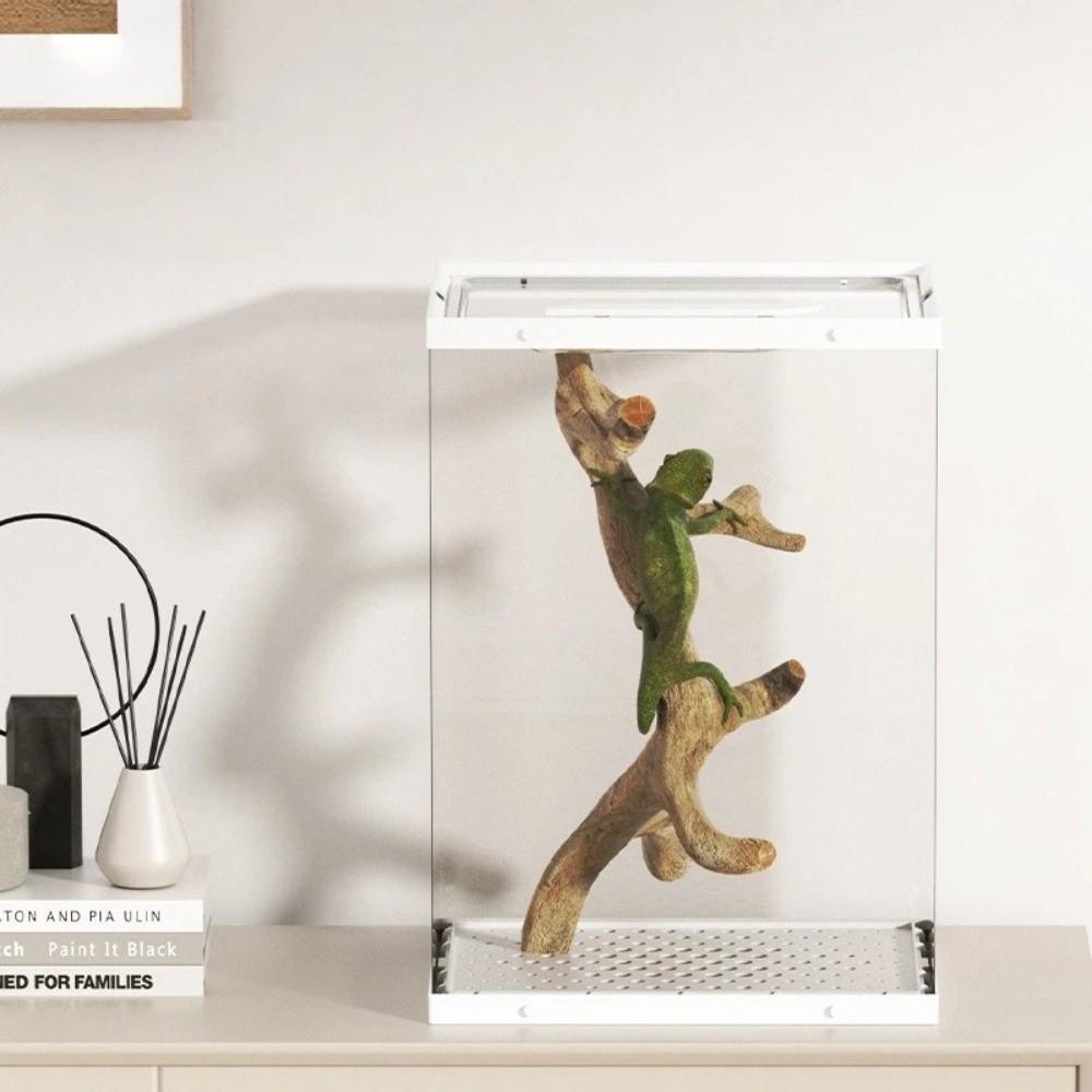 Easy Clean Reptile Habitat Ventilated Small Pet Terrarium New Spider Breeding Box  Pet Supplies