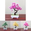 Faux Small Bonsai Plant With Container For Cafe Interior And Home Office Use
