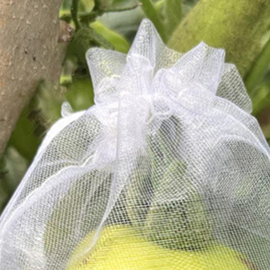 Fruit Protection Bags Drawstring Closure Mesh Fruit Bag Reusable Fine Mesh Covers for Tomatoes Strawberries Vegetables Protection from Insects Birds