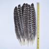 10Pcs Real Natural Eagle Feathers for Crafts Decoration Turkey Pheasant Carnival Hats Accessories Feather Decor Plumes Headpiece