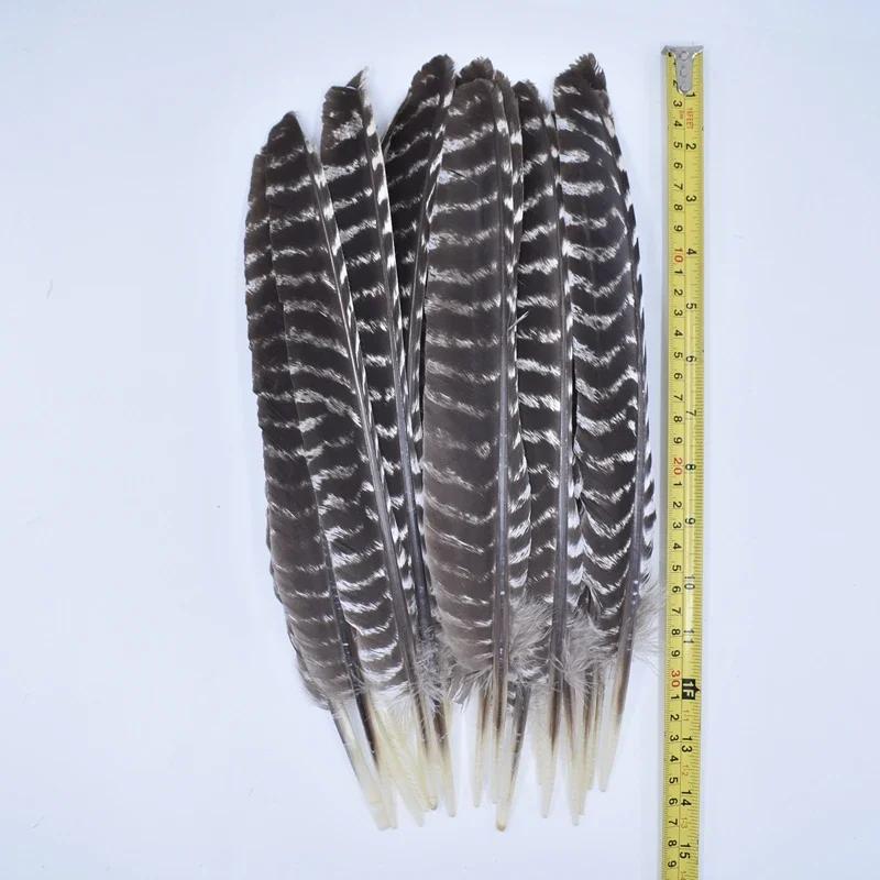 10Pcs Real Natural Eagle Feathers for Crafts Decoration Turkey Pheasant Carnival Hats Accessories Feather Decor Plumes Headpiece
