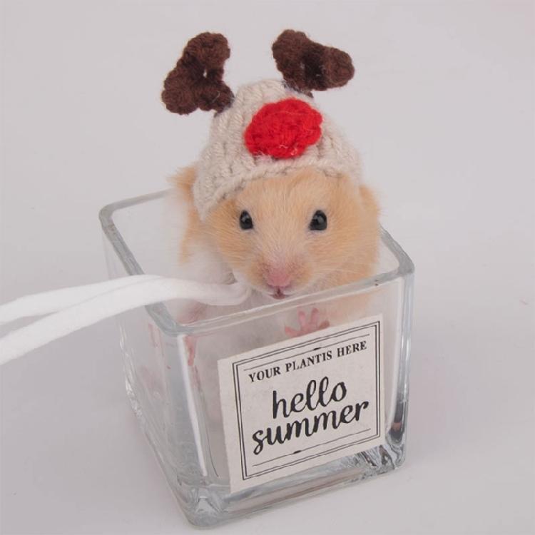 Pet Rabbit Ears Hat Photo Props for Hamster Handwoven Cap Rainbow Carrot