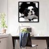 Neuer Eingang 5D DIY Vollkreis Diamantmalerei „Hund“ Stickerei Kreuzstich Heimdekor Geschenk