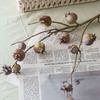11 Frucht Künstliche Granatapfelzweige Realistische Kunststoff-Schaumstoff-Früchte Zweige Elegante Handgefertigte Kunstpflanzen