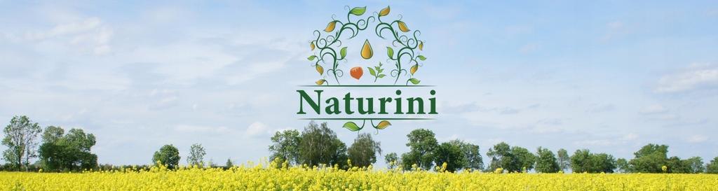 ORZECHY PEKAN SUPER JAKOŚĆ Pecan 200g Naturini