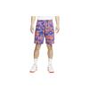 Casual Shorts Men's Purple Moderate DX0804-551