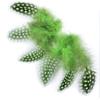 100PCS Natural Guinea Fowl Pheasant Feathers Natural Feathers Spotted 5-8cm Feathers for Crafts Dream Catcher Plume Decoration