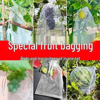 Fruit Protection Mesh Bag: Special Grape, Melon, Fig, and Pomegranate Insect & Bird Barrier