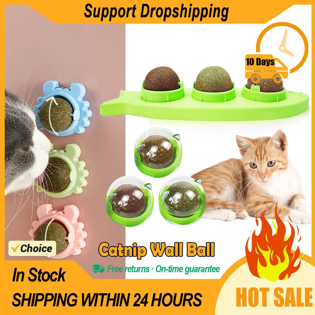 Catnip Wall Ball Licking Snacks Healthy Nutrition Ball Teeth Cleaning Catnip Toy for Cats Clean Mouth Promote Digestion Indoor