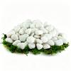 350/700g Wysokopolerowane Białe Kamyczki Wewnątrz Zewnątrz Ogród Dziedziniec Akwarium Dekoracja Ogrodnicza Bruk XJM