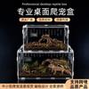 Acrylic Reptile Terrarium Small Pet Habitat Tarantula Gecko Scorpion Beetle Desktop Display Box With Thermometer Option