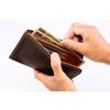 Italian Shrink Leather Zipper Long Wallet In Billfold Coin Case Thin Leather Himeji Leather Cowhide Domestic Japan [Ikenohata Ginzaten] (Ikenohata
