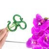 Plastic Plant Support Rods Branch Upright Aid Flower Modeling Support Pole Fleshy Butterflies Orchid Holder Gardening Accessory