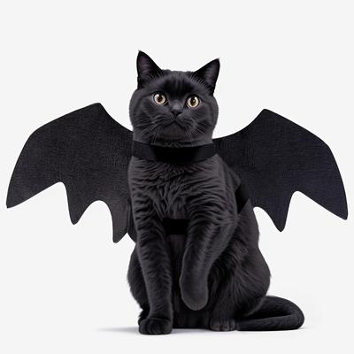 1/3pcs Adjustable Black Cat Bat Wings Costume Halloween Pet Accessory for Cats & Small Dogs Festive Dress-Up Fun Cosplay Access