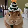 Handgefertigte Haustier-Weihnachtsmütze Dekoration Hamster Kleidung Mütze Kaninchenmütze Plüsch Weihnachtsmannmütze Weihnachten Dekorationen Für Kleine Haustierbedarf