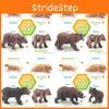 High-quality Pvc Static Brown Bear Growth Cycle Model Perfect For Animal Lovers Collectors Display