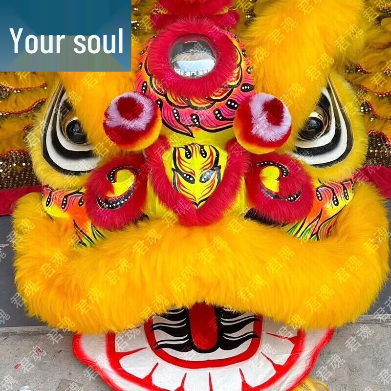 Foshan Bamboo Weaving Lion Dance Equipment