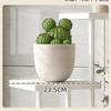 Miling 4-Tier Metal Flower Stand