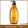 Seeyoung Ginger Anti-Hair Loss Shampoo