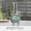 Hario Cool Carafe 360ml Sake Ice Colored Soda Sake Wine Milk N, Capacity, Clear/green Glass, Carafe, Pocket, Glass, Glass, Carafe, Decanter, Pitcher,