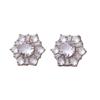 Korean-Japanese Style Zirconia Snowflake Flower Stud Earrings - Light Luxury Niche Design