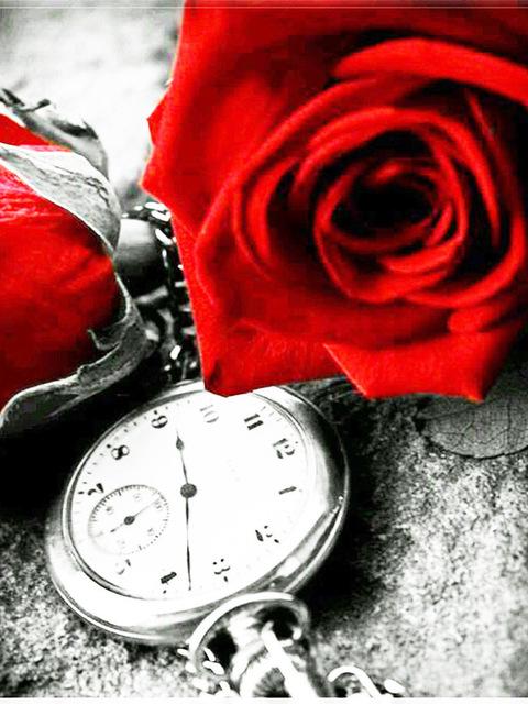 DIY Diamond Painting Flower Mosaic Diamond Rose 5D Painting Rhinestone Cross Stitch Black Red Wall Art