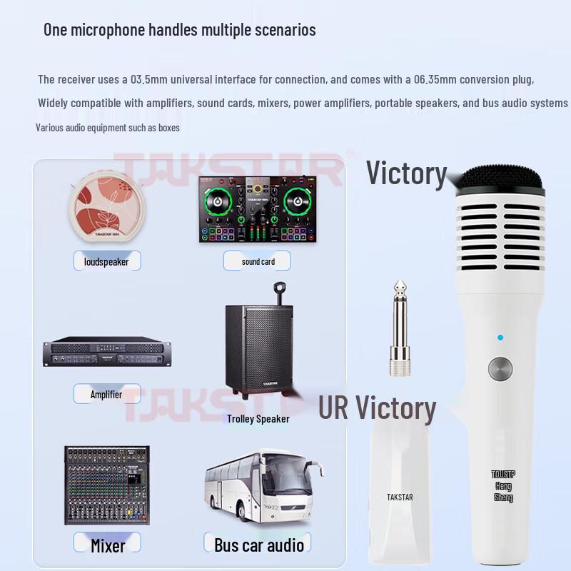 TAKSTAR HM-300W Wireless Handheld Microphone