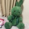 [USED] Cute Teddy Bear Bunny Plush Toy In Pastel Green. May Cheer.