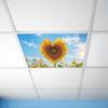 Blue Sky White Clouds Heart-shaped Sunflowers Living Room Bedroom Ceiling Beautification and Decoration Wall Stickers