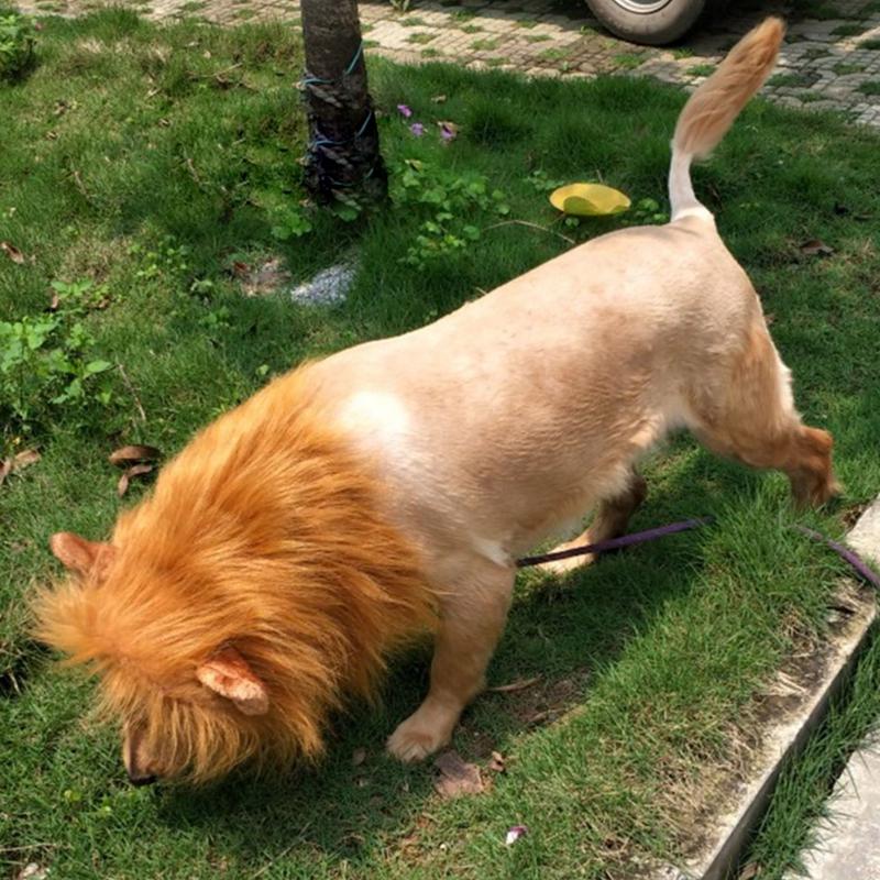 Halloween Lion Mane Dog Wig Hat for Dogs and Cat Small Large Dogs Pet Cat Decor Accessories Lion Wig Fancy Hair Cap Pet Supplies