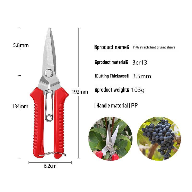 Stainless Steel Pruning Shears for Thick Branches and Fruit Trees