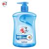 Carving Brand Anti-bacterial Hand Wash