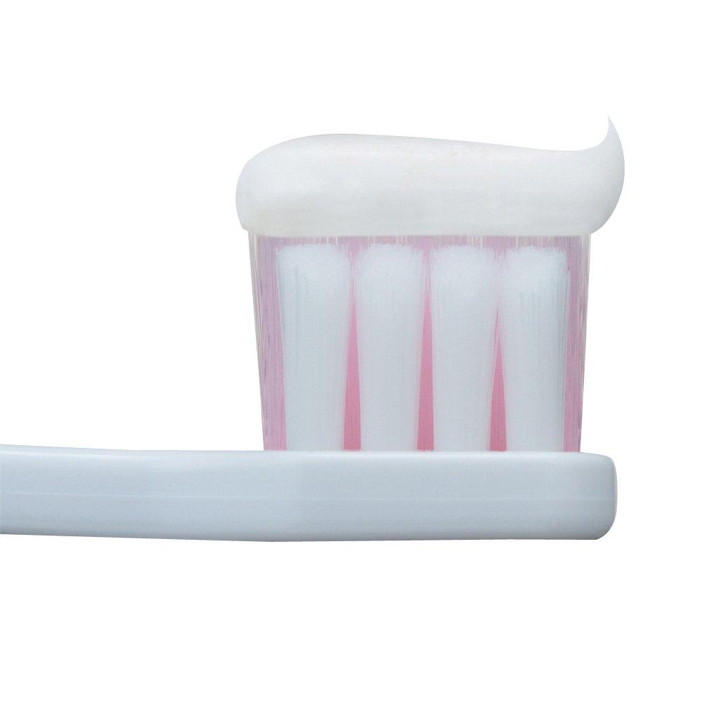 Denthealth Medicated Toothpaste for Periodontal Disease Sensitive 85g [Quasi-drug] Prevention, Toothpaste,