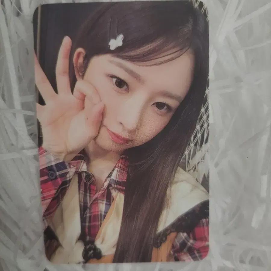 

Ive Encon Dive Zone Ray Concert Photocard
