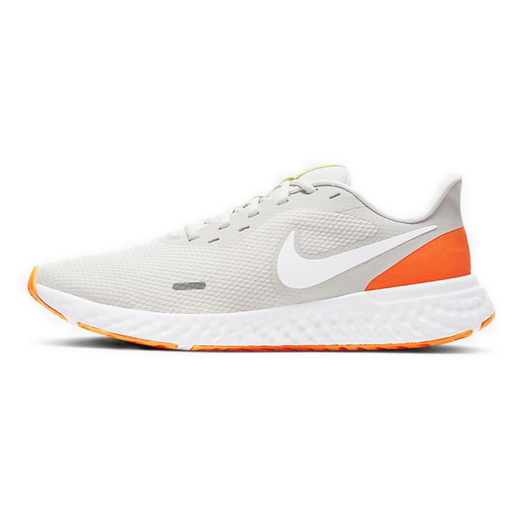 Nike Revolution 5 Platinum Tint