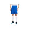 Nike Dri-Fit Comfortable Fashion Versatile Casual Sports Shorts Men Shorts Royal-Blue IB8812-450