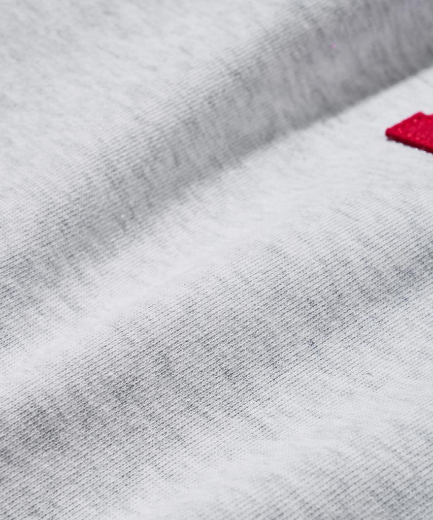 PHYSICAL DEPARTMENT Apple Arch Logo Sweatshirt_Light Gray