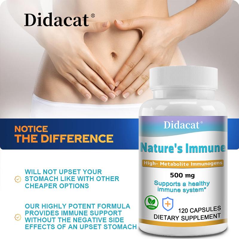 Natural Immune Health System Dry Yeast Fermented Capsules, 120 capsules