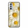 For Motorola Moto Edge Plus 2022 Case Soft Silicone TPU Back Cover Case For Motorola Edge+ 5G UW 2022 Funda Wolf Cartoon Coque