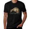 Kiwi Bird Tshirt Soft Antishrink Cotton Tee Tshirt